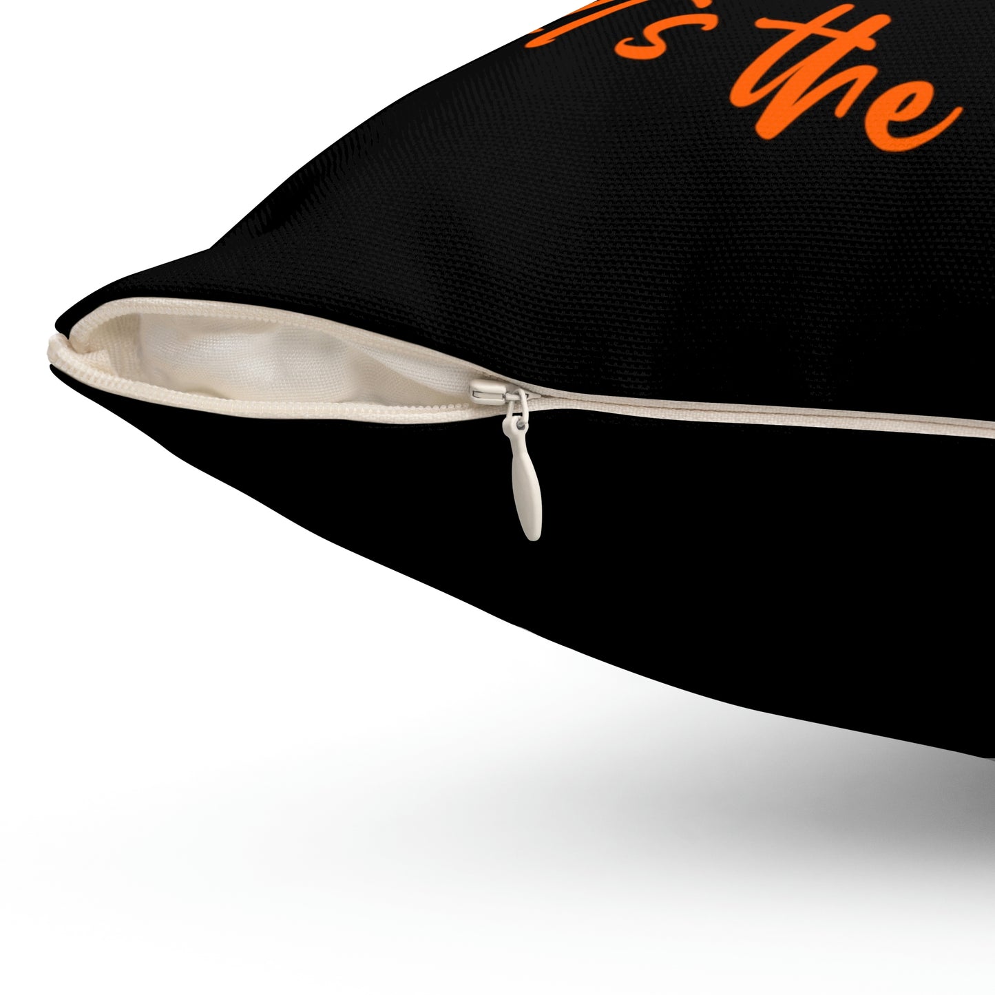 It's The Journey - Pillow